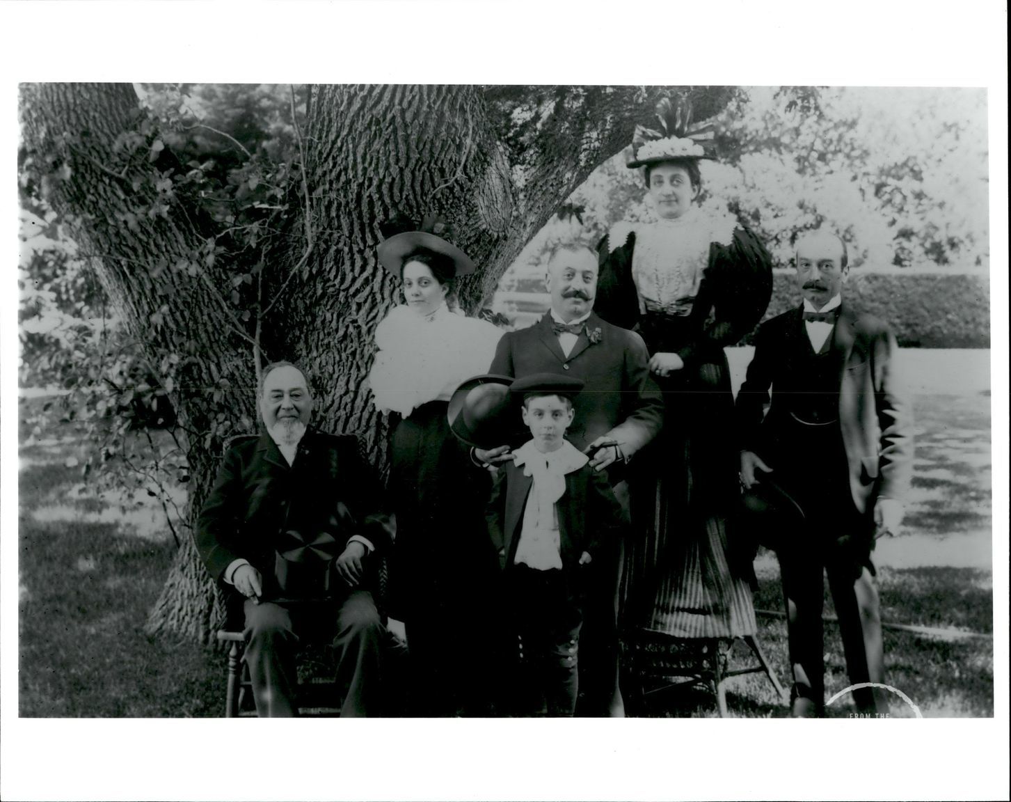 An old black and white image of a family posing in front of a large oak tree.