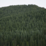 climate action strikes