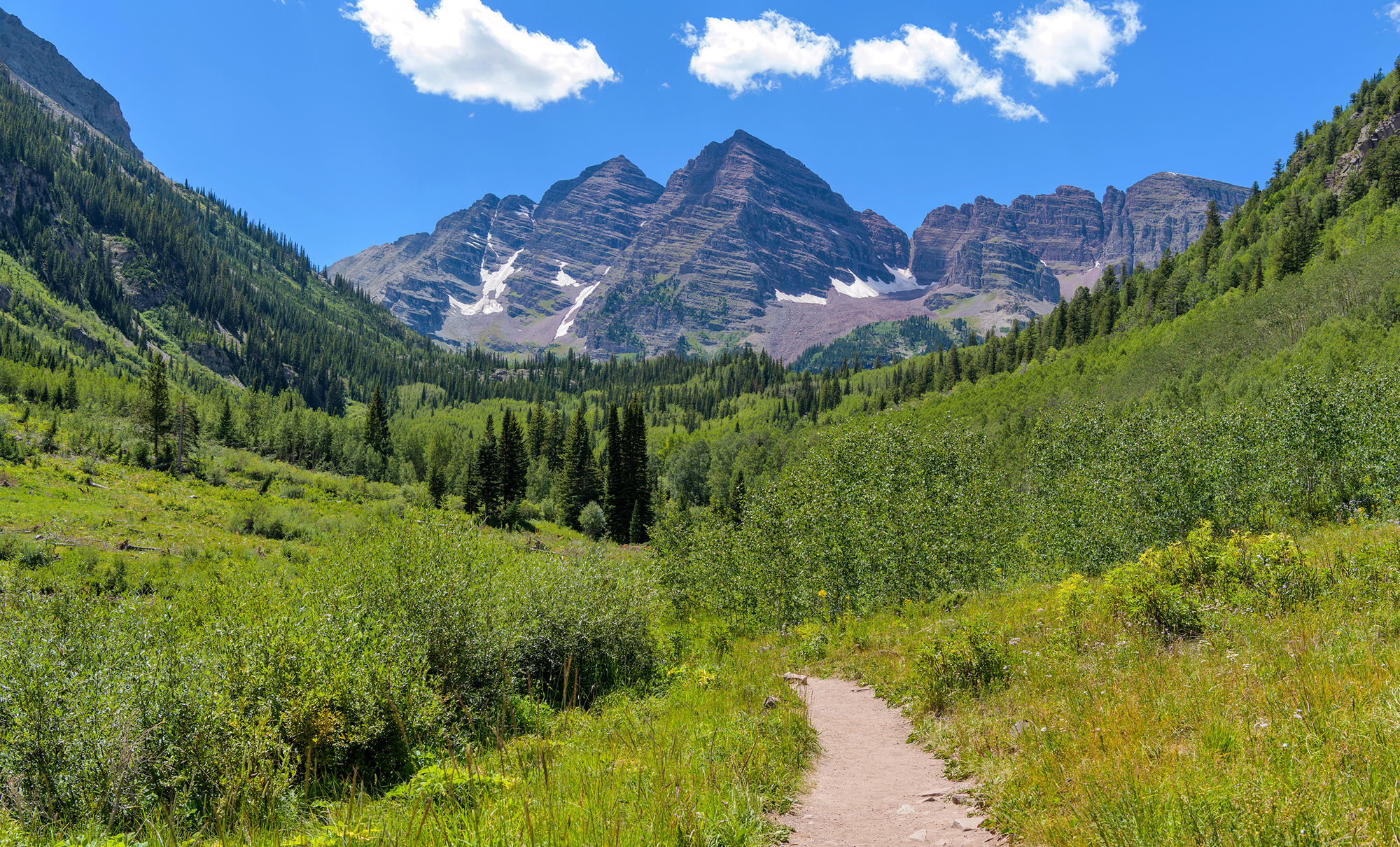 A scenic photo of Aspen featuring a grassy path and a mountain in the background