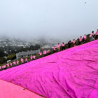 Volunteers in pink shirts set up the annual Pink Triangle installation on San Francisco's Twin Peaks in honor of Pride Month.